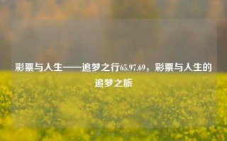 彩票与人生——追梦之行65.97.69，彩票与人生的追梦之旅，彩票与人生的追梦之旅，65.97.69的启示