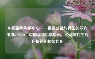 中国福利彩票中心——促进公益与民生的双向作用65.97.70，中国福利彩票中心，公益与民生双向促进的桥梁作用，中国福利彩票中心，公益与民生双向促进的桥梁作用助力社会发展