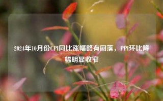 2024年10月份CPI同比涨幅略有回落，PPI环比降幅明显收窄