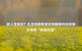 敌人变朋友？扎克伯格希望在特朗普科技政策中发挥“积极作用”