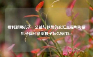 福利彩票机子，公益与梦想的交汇点福利彩票机子福利彩票机子怎么操作btc