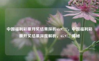 中国福利彩票开奖结果探析65.97.77，中国福利彩票开奖结果深度解析，65.97.77揭秘，揭秘数字之谜，65.97.77与中福双彩探究竟的成果篇。