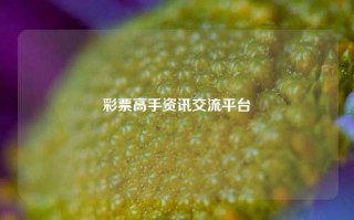 彩票高手资讯交流平台