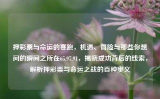 押彩票与命运的赛跑，机遇、冒险与那些你想问的瞬间之所在65.97.91，揭晓成功背后的线索，解析押彩票与命运之战的百种奥义，押彩票，命运之战的百种奥义与成功背后的线索