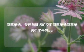 彩票单选，梦想与机遇的交汇彩票单选彩票单选中奖号码iqoo