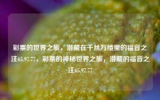 彩票的世界之旅，潜藏在千丝万缕里的福音之注65.97.77，彩票的神秘世界之旅，潜藏的福音之注65.97.77，彩票的神秘世界之旅，潜藏的数字福音65.97.77注，（注，此标题是根据您提供的内容简化而成的，考虑到有固定的词汇内容和其他附加形容词的情况有限）