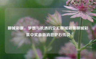 聊城彩票，梦想与机遇的交汇聊城彩票聊城彩票中奖最新消息炉石传说