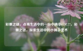 彩票之谜，点亮生活中的一份小确幸65.97.77，彩票之谜，探索生活中的小确幸艺术，探索隐藏之迹——我遇到的彩票之谜，蓦地插肩的小确幸艺术