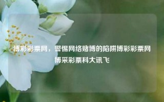 博彩彩票网，警惕网络赌博的陷阱博彩彩票网博采彩票科大讯飞