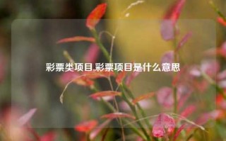 彩票类项目,彩票项目是什么意思