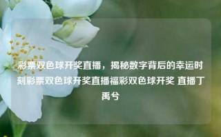 彩票双色球开奖直播，揭秘数字背后的幸运时刻彩票双色球开奖直播福彩双色球开奖 直播丁禹兮