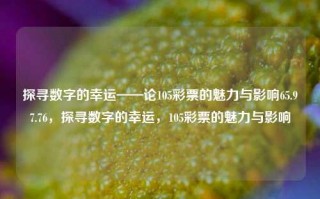 探寻数字的幸运——论105彩票的魅力与影响65.97.76，探寻数字的幸运，105彩票的魅力与影响，探寻数字的幸运，105彩票的魅力与深远影响