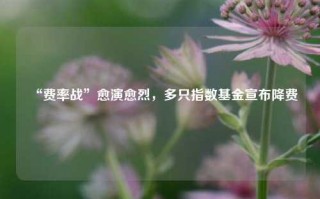 “费率战”愈演愈烈，多只指数基金宣布降费