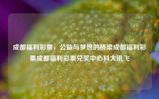 成都福利彩票，公益与梦想的桥梁成都福利彩票成都福利彩票兑奖中心科大讯飞