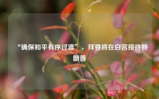 “确保和平有序过渡”，拜登将在白宫接待特朗普