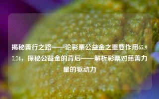 揭秘善行之路——论彩票公益金之重要作用65.97.74，探秘公益金的背后——解析彩票对慈善力量的驱动力，探秘公益金之力，彩票如何驱动慈善力量