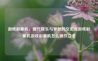 游戏彩票机，现代娱乐与梦想的交汇点游戏彩票机游戏彩票机怎么操作立冬