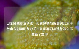 山东彩票彩友沙龙，汇聚热情与智慧的交流平台山东彩票彩友沙龙山东彩票彩友沙龙怎么不更新了意甲