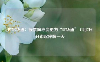 世纪华通：股票简称变更为“ST华通” 11月7日开市起停牌一天