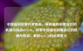 中国福利彩票开奖查询，解析福利彩票背后的机遇与挑战65.97.70，探索中国福利彩票背后的机遇与挑战，解析65.97.70的出奖意义，探索65.97.70，中国福利彩票背后的机遇与挑战