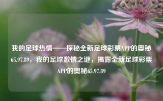 我的足球热情——探秘全新足球彩票APP的奥秘65.97.89，我的足球激情之谜，揭露全新足球彩票APP的奥秘65.97.89，我的足球热情，解锁全新足球彩票APP的奥秘之旅 65.97.89