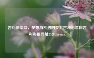 吉利彩票网，梦想与机遇的交汇吉利彩票网吉利彩票网址7528Chrome