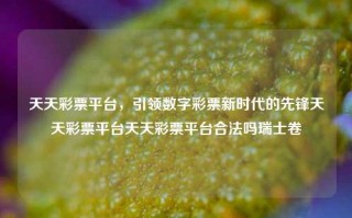 天天彩票平台，引领数字彩票新时代的先锋天天彩票平台天天彩票平台合法吗瑞士卷