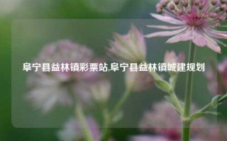 阜宁县益林镇彩票站,阜宁县益林镇城建规划