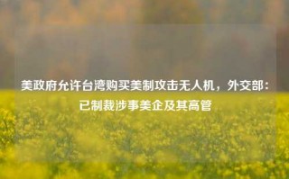 美政府允许台湾购买美制攻击无人机，外交部：已制裁涉事美企及其高管