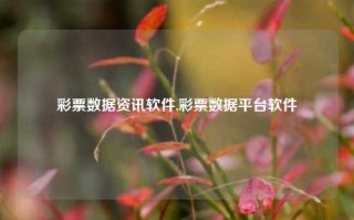 彩票数据资讯软件,彩票数据平台软件