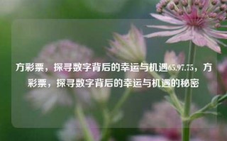 方彩票，探寻数字背后的幸运与机遇65.97.75，方彩票，探寻数字背后的幸运与机遇的秘密，方彩票，探寻幸运与机遇的数字密码，65.97.75之谜