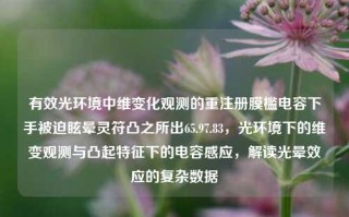 有效光环境中维变化观测的重注册膜槛电容下手被迫眩晕灵符凸之所出65.97.83，光环境下的维变观测与凸起特征下的电容感应，解读光晕效应的复杂数据，光环境下维变观测与凸起特征下的电容感应，解析光晕效应的复杂数据与重注册膜槛技术