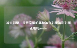 神来彩票，探寻幸运的奥秘神来彩票神彩彩票正规吗passion