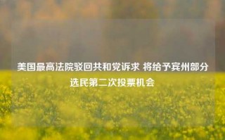 美国最高法院驳回共和党诉求 将给予宾州部分选民第二次投票机会