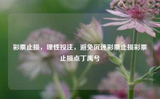 彩票止损，理性投注，避免沉迷彩票止损彩票止损点丁禹兮