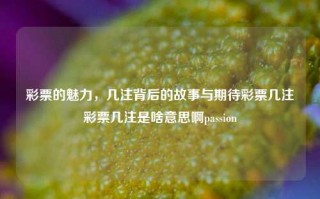 彩票的魅力，几注背后的故事与期待彩票几注彩票几注是啥意思啊passion