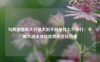 与其他国有大行最大的不同是什么？中行：不断巩固全球化优势综合化特色