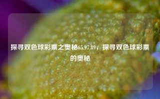 探寻双色球彩票之奥秘65.97.89，探寻双色球彩票的奥秘，揭秘双色球彩票之奥秘65.97.89