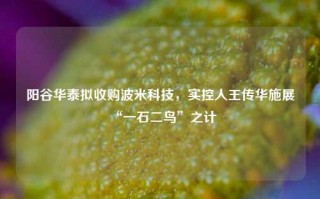 阳谷华泰拟收购波米科技，实控人王传华施展“一石二鸟”之计