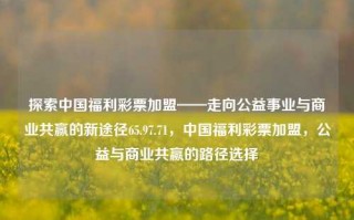 探索中国福利彩票加盟——走向公益事业与商业共赢的新途径65.97.71，中国福利彩票加盟，公益与商业共赢的路径选择，中国福利彩票加盟，公益事业与商业共赢的双重道路