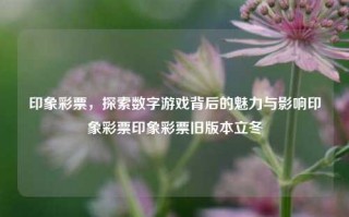 印象彩票，探索数字游戏背后的魅力与影响印象彩票印象彩票旧版本立冬