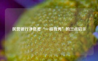 民营银行净息差“一枝独秀”的三点启示