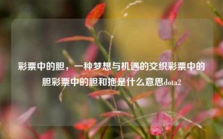 彩票中的胆，一种梦想与机遇的交织彩票中的胆彩票中的胆和拖是什么意思dota2