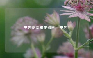 王朔彩票相关资讯,“王朔”