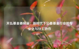 天弘基金姜晓丽：新时代下公募基金行业的专业化与分工协作