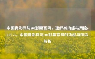 中国竞彩网与500彩票官网，理解其功能与风险65.97.74，中国竞彩网与500彩票官网的功能与风险解析，揭露中国竞彩网与500彩票官网的功能与风险解析