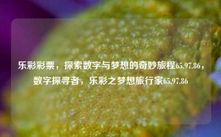 乐彩彩票，探索数字与梦想的奇妙旅程65.97.86，数字探寻者，乐彩之梦想旅行家65.97.86，乐彩之旅，数字探寻与梦想的奇妙旅程 65.97.86