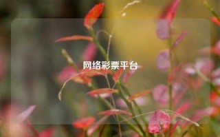 网络彩票平台