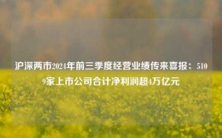 沪深两市2024年前三季度经营业绩传来喜报：5109家上市公司合计净利润超4万亿元