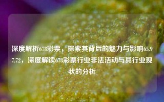 深度解析678彩票，探索其背后的魅力与影响65.97.72，深度解读678彩票行业非法活动与其行业现状的分析，深度揭示678彩票，探究魅力、风险及潜在影响